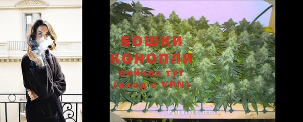 PSILOCYBIN Остров