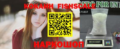 спиды Гатчина