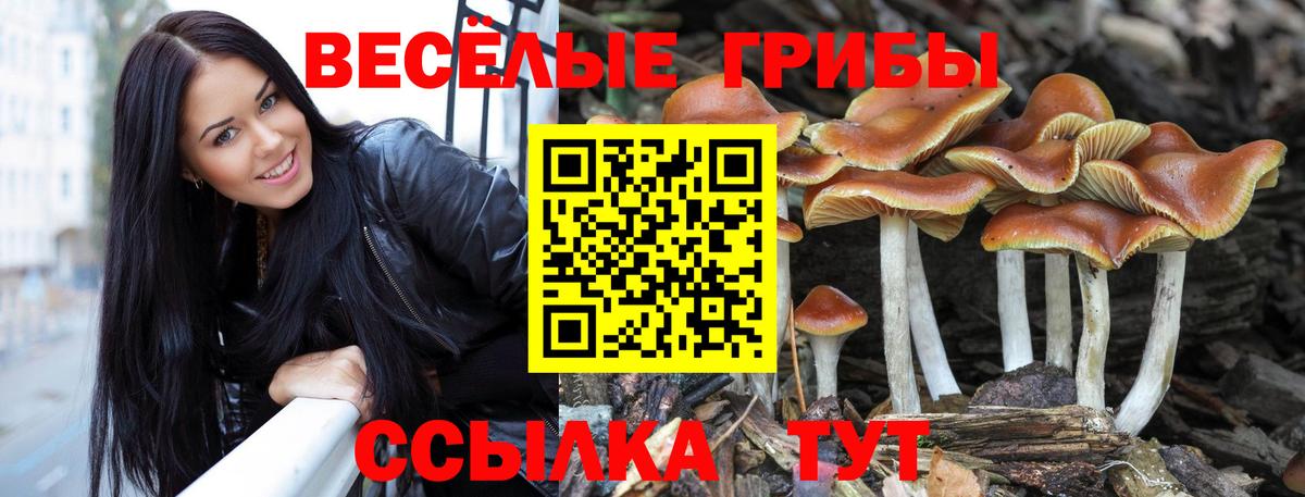 Галлюциногенные грибы MAGIC MUSHROOMS  Вход с VPN  Вязьма  Псилоцибиновые грибы мицелий 