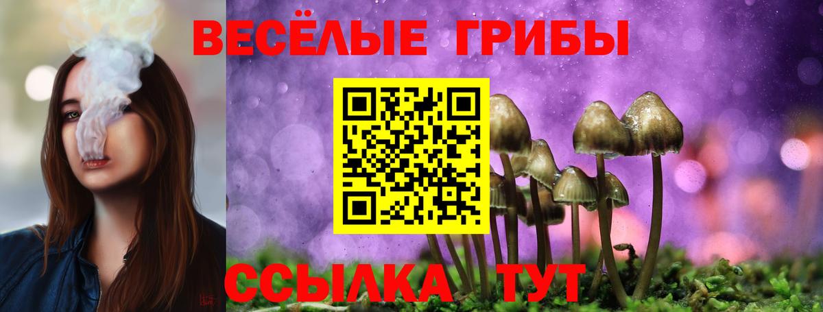 что такое   Вязьма  Галлюциногенные грибы MAGIC MUSHROOMS 